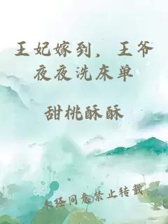 王妃嫁到,王爷夜夜洗床单