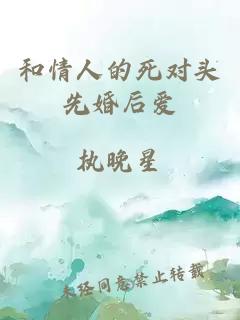和情人的死对头先婚后爱